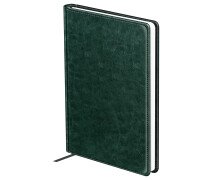 Ежедневник датированный 2026г., А5, 176л., твердый переплет, кожзам, BG "Nebraska. Green", зеленый