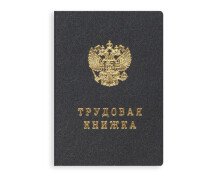 Трудовая книжка, 22л