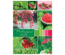 Тетрадь А4 96 л, Хатбер Разноцветный мир, клетка